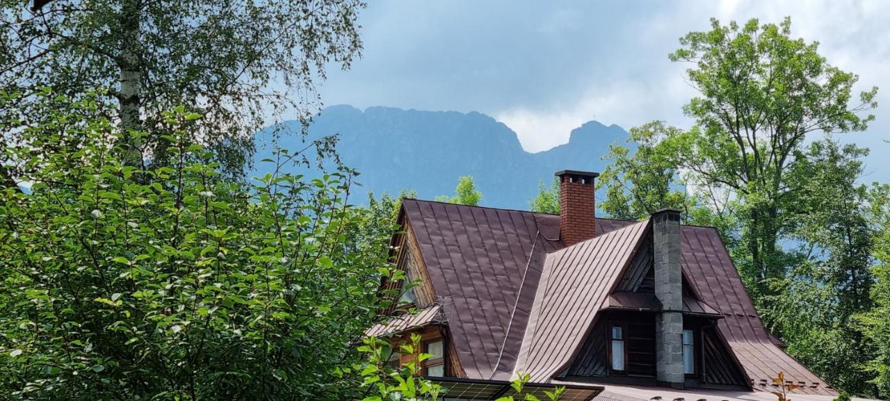 Vip Apartamenty Modrzejewska Residence Zakopane Eksteriør billede